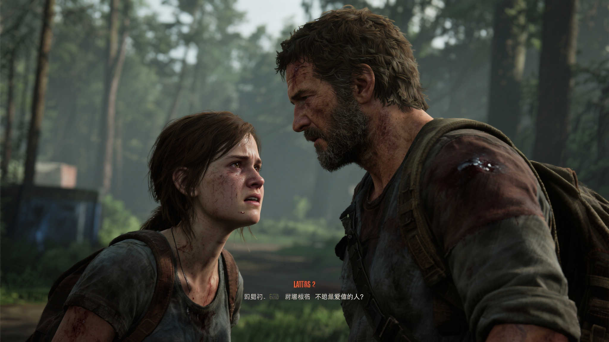 从玩家的角度看，《最后生还者2》中艾莉与